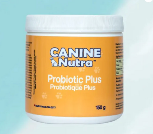 Probiotic Plus | Canine Nutra
